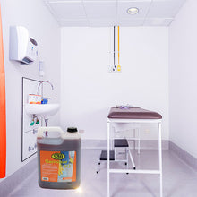 Cargar imagen en el visor de la galería, GERMISAR 5.5Q (0362-DG) - SAR Limpieza